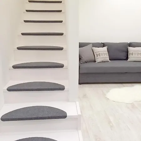 Center With Gym & Appartement